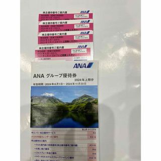 エーエヌエー(ゼンニッポンクウユ)(ANA(全日本空輸))のANA株主優待券4枚&グループ優待券(航空券)