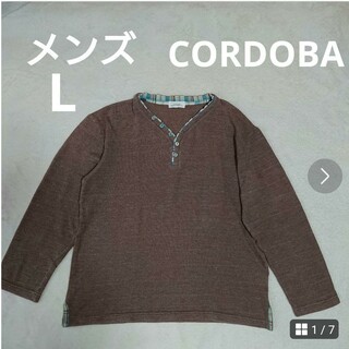 メンズ  Ｌ  cordoba  綿混ニット  Tシャツ(ニット/セーター)