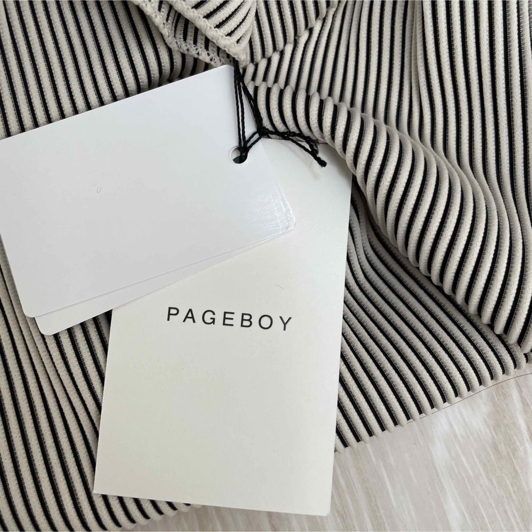 PAGEBOY(ページボーイ)のページボーイ クシュソデバイカラープリーツハイネック レディースのトップス(カットソー(長袖/七分))の商品写真