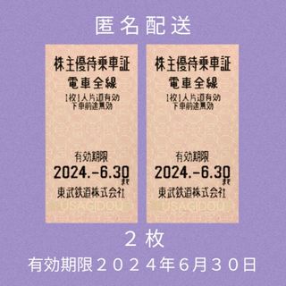 東武鉄道 株主優待乗車証 ２枚