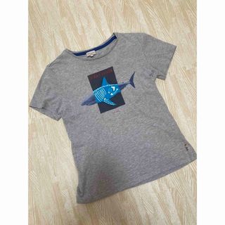 ポールスミス(Paul Smith)のポールスミスジュニア　Tシャツ　10A 140 グレー　男の子　綿100%(Tシャツ/カットソー)