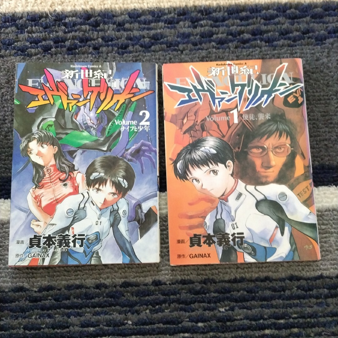 角川書店(カドカワショテン)の新世紀エヴァンゲリオン全巻セット エンタメ/ホビーの漫画(全巻セット)の商品写真