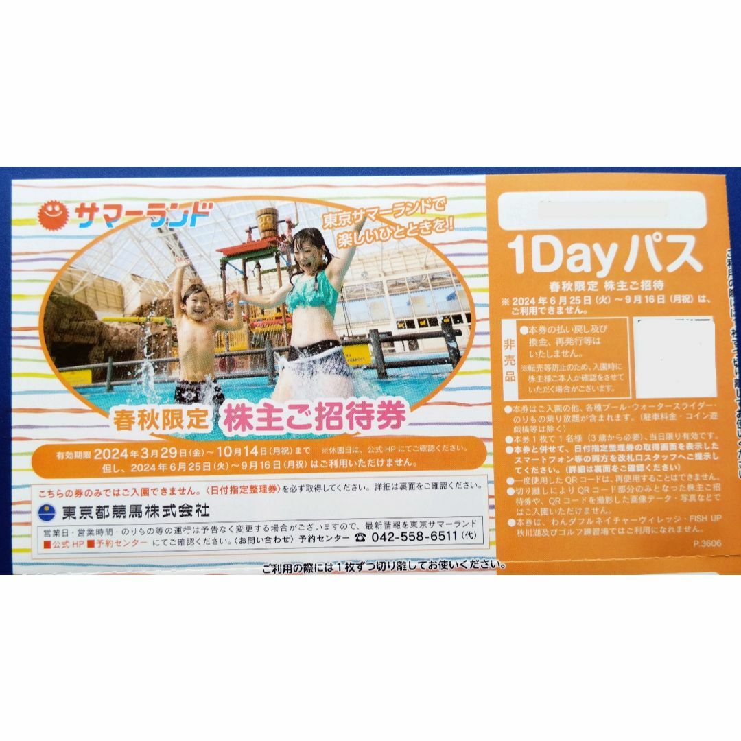 1枚　東京サマーランド チケットの施設利用券(プール)の商品写真