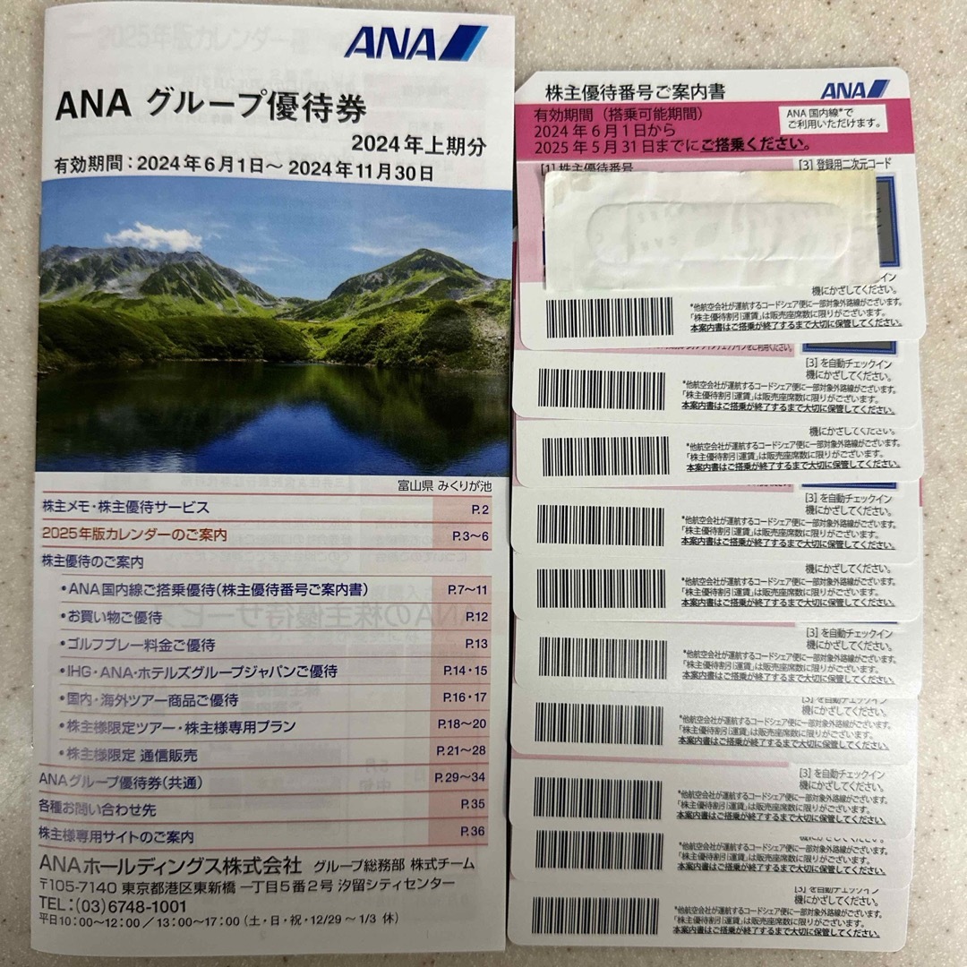 ANA(全日本空輸)(エーエヌエー(ゼンニッポンクウユ))のANA 株主優待券 チケットの優待券/割引券(その他)の商品写真