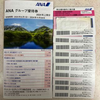 エーエヌエー(ゼンニッポンクウユ)(ANA(全日本空輸))のANA 株主優待券(その他)