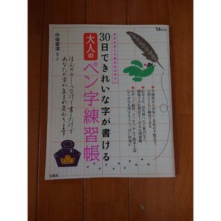 宝島社 - ３０日できれいな字が書ける大人のペン字練習帳