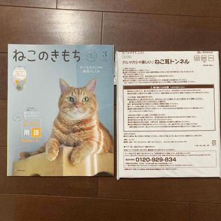 ねこのきもち　2024年3月付録付き(猫)