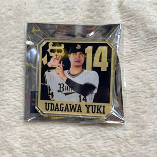 オリックスバファローズ(オリックス・バファローズ)のオリックス・バファローズ シークレットアクリルピンバッジ(スポーツ選手)