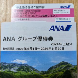 エーエヌエー(ゼンニッポンクウユ)(ANA(全日本空輸))のANA株主優待(その他)