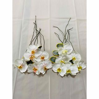 【5,500円相当】花材（ファレノ）(その他)