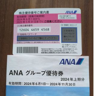 エーエヌエー(ゼンニッポンクウユ)(ANA(全日本空輸))のANA株主優待券(航空券)