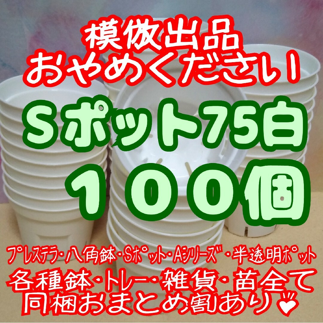 《Sポット75》白 100個 スリット鉢 プラ鉢2.5号鉢相当多肉植物プレステラ ハンドメイドのフラワー/ガーデン(プランター)の商品写真