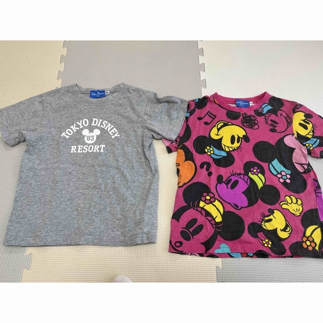 Disney(ディズニー)のDisney Resort Tシャツ 120サイズ 2枚セット キッズ/ベビー/マタニティのキッズ服女の子用(90cm~)(Tシャツ/カットソー)の商品写真