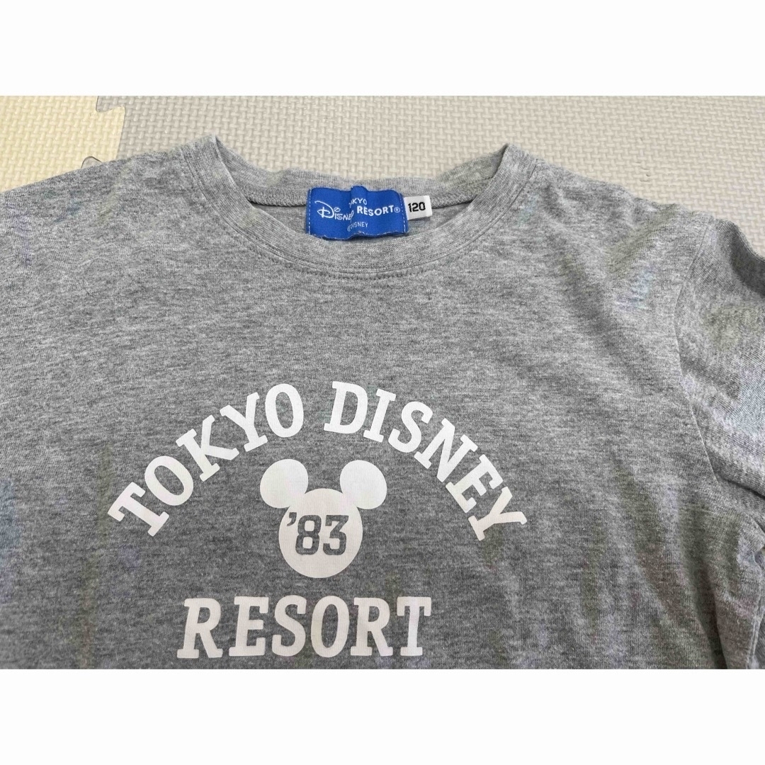 Disney(ディズニー)のDisney Resort Tシャツ 120サイズ 2枚セット キッズ/ベビー/マタニティのキッズ服女の子用(90cm~)(Tシャツ/カットソー)の商品写真