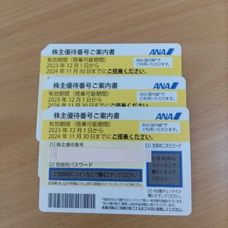 エーエヌエー(ゼンニッポンクウユ)(ANA(全日本空輸))のANA株主優待券(その他)