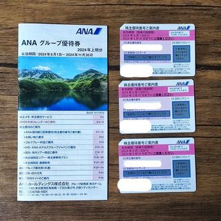 エーエヌエー(ゼンニッポンクウユ)(ANA(全日本空輸))のANA 株主優待3枚 + 優待券1冊(その他)