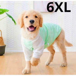 【ペット用】大型犬用　犬服　涼しい網目袖　切り替えTシャツ　6XL(犬)
