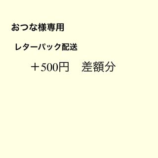 おつな様専用　500円差額分　レターパック配送(ヘアピン)