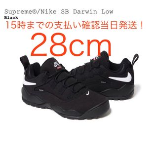 シュプリーム(Supreme)のSupreme × Nike SB Darwin Low Black 黒　28(スニーカー)