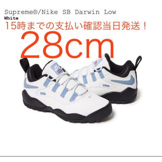 シュプリーム(Supreme)のSupreme × Nike SB Darwin Low White 白　28(スニーカー)