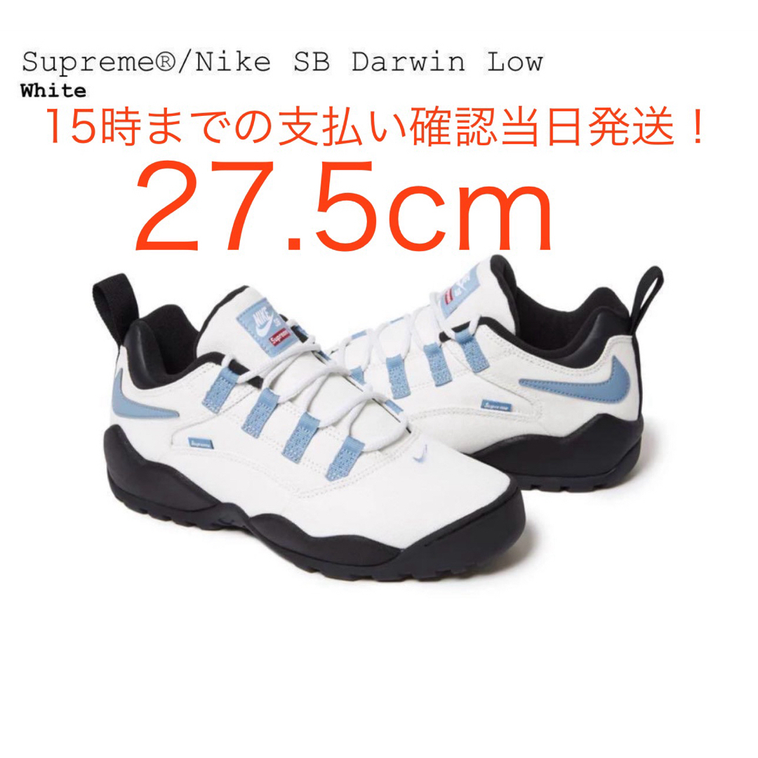 Supreme(シュプリーム)のSupreme ×Nike SB Darwin Low White 白　27.5 メンズの靴/シューズ(スニーカー)の商品写真