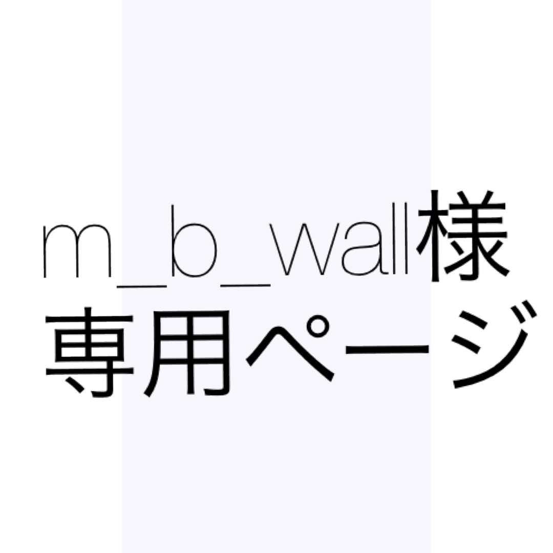 m_b_wall様 コスメ/美容のコスメ/美容 その他(その他)の商品写真