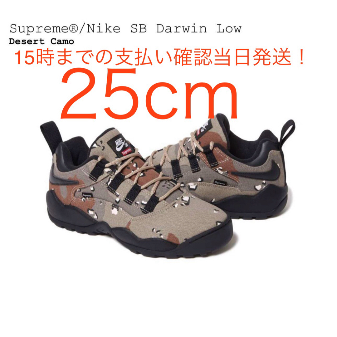 Supreme(シュプリーム)のSupreme × Nike SB Darwin Low Desert Camo メンズの靴/シューズ(スニーカー)の商品写真