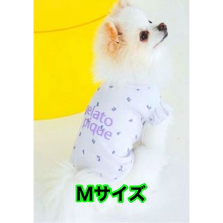 【Mサイズ ラベンダー】ジェラートピケ 小花柄COOLプルオーバー 犬服 ワンコ