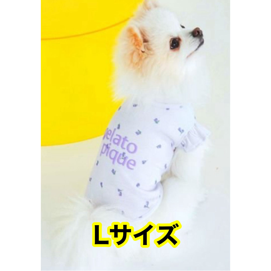 gelato pique - 【Lサイズ ラベンダー】ジェラートピケ 小花柄 gelato pique - 【Lサイズ ラベンダー】ジェラートピケ 小花柄