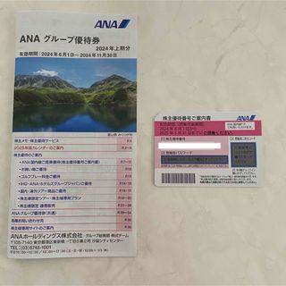 エーエヌエー(ゼンニッポンクウユ)(ANA(全日本空輸))のANA 株主優待(航空券)