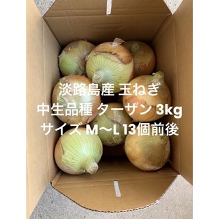 兵庫県 淡路島産 玉ねぎ M～L 3kg 中生品種 ターザン 13個前後(野菜)