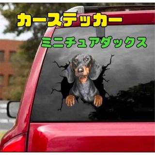 カーステッカー ダックスフンド 癒し 3Dアート 車 シール ペッド かわいい(車外アクセサリ)