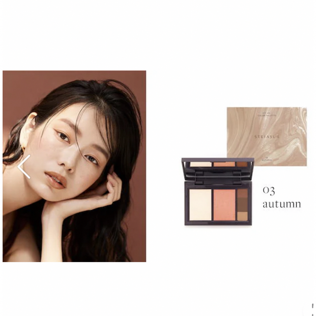 STEIASUR フィット my カラーパレット 03 autumn 本体 13 コスメ/美容のスキンケア/基礎化粧品(その他)の商品写真