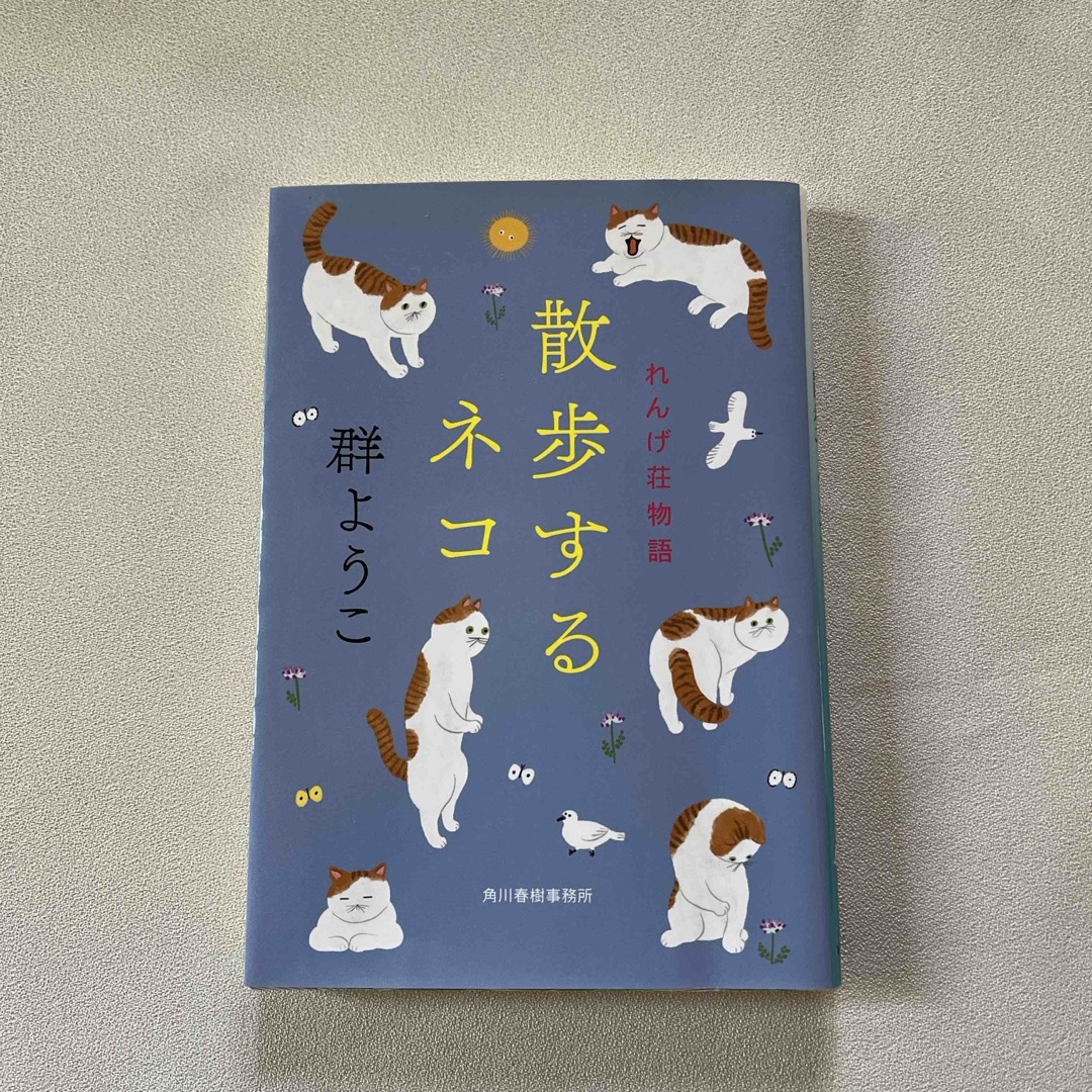 散歩するネコ　群ようこ エンタメ/ホビーの本(その他)の商品写真