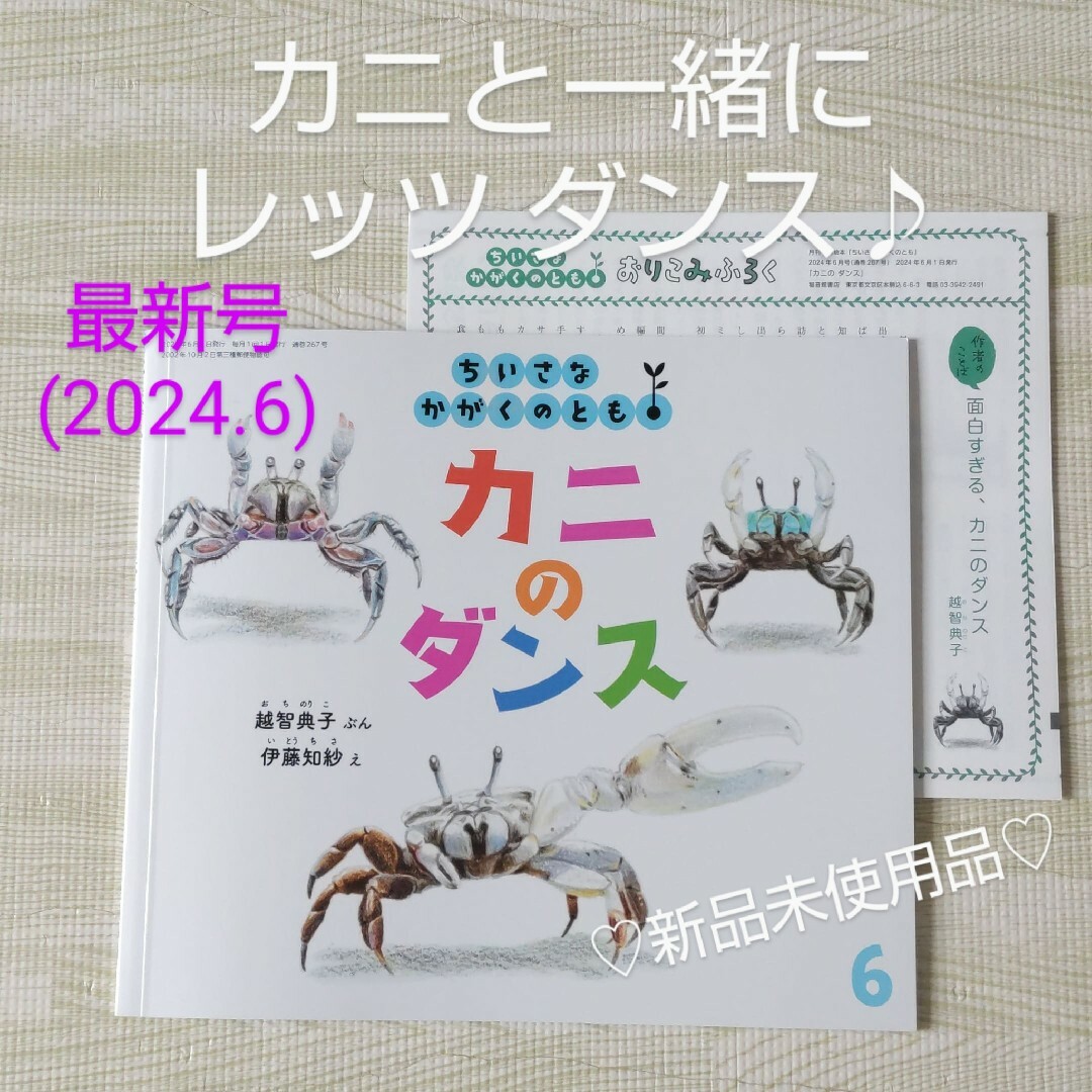 福音館書店(フクインカンショテン)のカニのダンス 福音館書店 絵本 かがくのとも 夏 海 浜辺 磯遊び 観察 夏休み エンタメ/ホビーの本(絵本/児童書)の商品写真