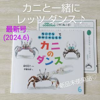 フクインカンショテン(福音館書店)のカニのダンス 福音館書店 絵本 かがくのとも 夏 海 浜辺 磯遊び 観察 夏休み(絵本/児童書)