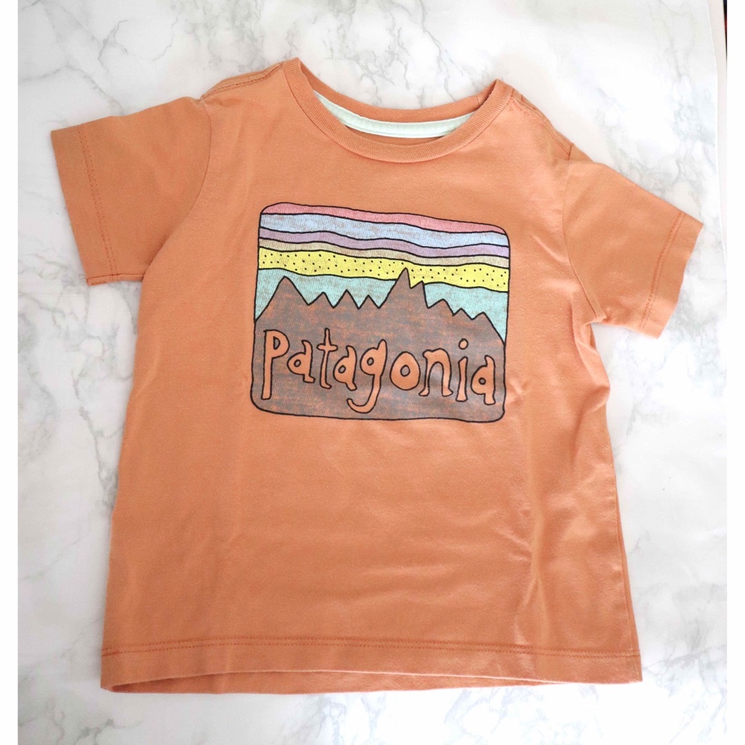 patagonia(パタゴニア)のPatagonia パタゴニア 12〜18m 半袖 Tシャツ キッズ/ベビー/マタニティのベビー服(~85cm)(Ｔシャツ)の商品写真