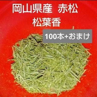 岡山県産 松葉香 お香 線香100本+おまけ 赤松 乾燥松葉 松葉 松の葉 薬草(お香/香炉)