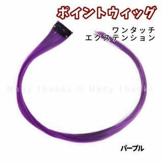 ポイントウィッグ★パープル★取外し可能なエクステ★他のカラーもお尋ね下さい★新品(その他)