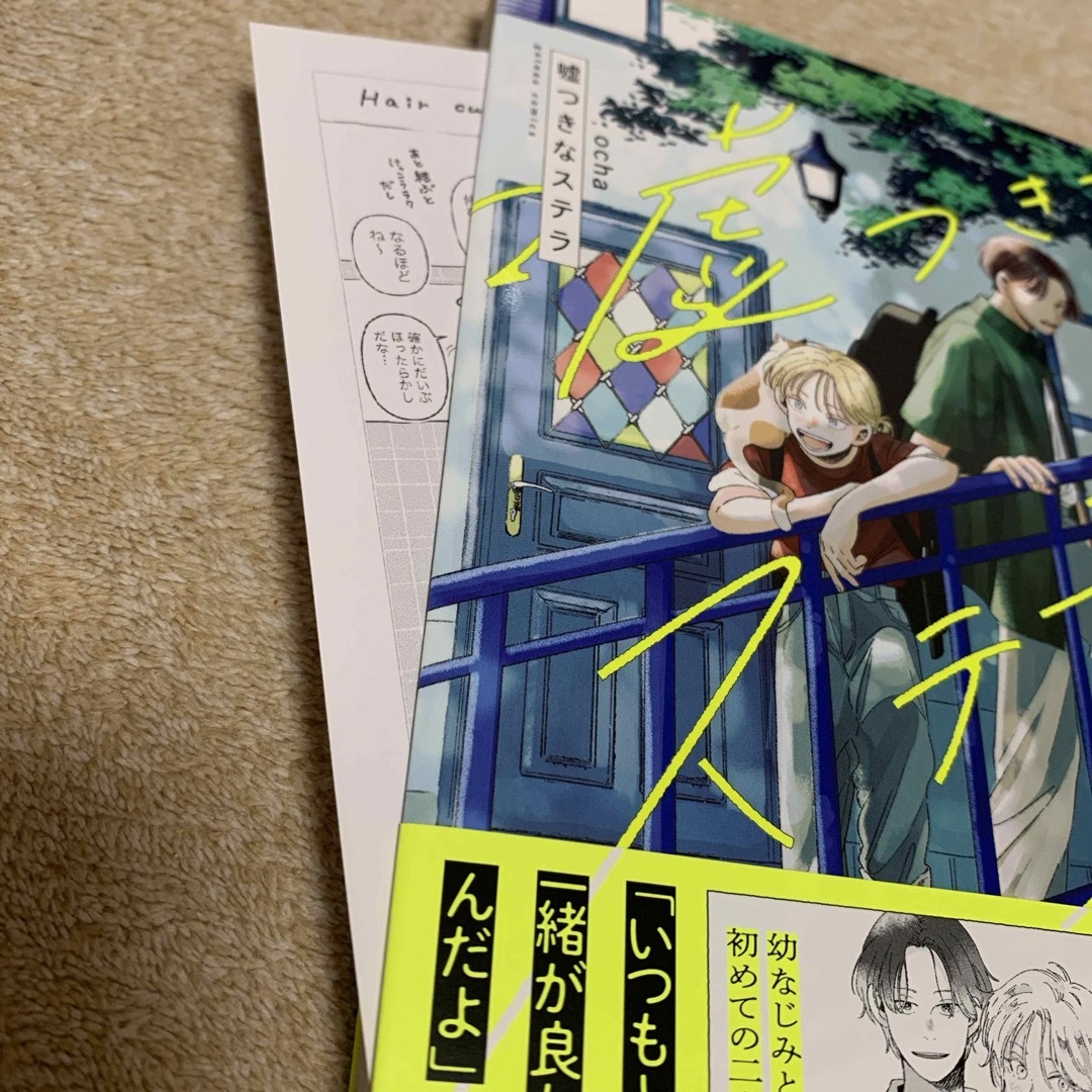 嘘つきなステラ★ocha Bl漫画　アニメイト特典付 エンタメ/ホビーの漫画(ボーイズラブ(BL))の商品写真