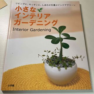 小さなインテリアガーデニング : リビングに、キッチンに、しあわせを運ぶ(その他)