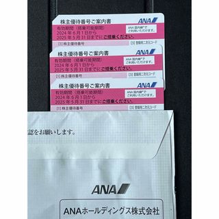 ANA 優待券(その他)