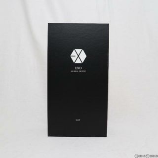 EXO-M LAY(レイ) 通常盤 EXO(エクソ) 3D REAL FIGURE 完成品 フィギュア DNCグループ(その他)