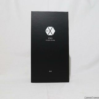 EXO-K KAI(カイ) 通常盤 EXO(エクソ) 3D REAL FIGURE 完成品 フィギュア DNCグループ(その他)