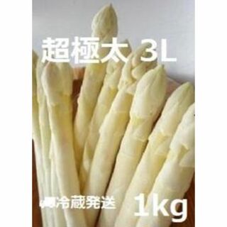 超極太 北海道産 ホワイト アスパラガス 3Lサイズ以上 1kg(野菜)
