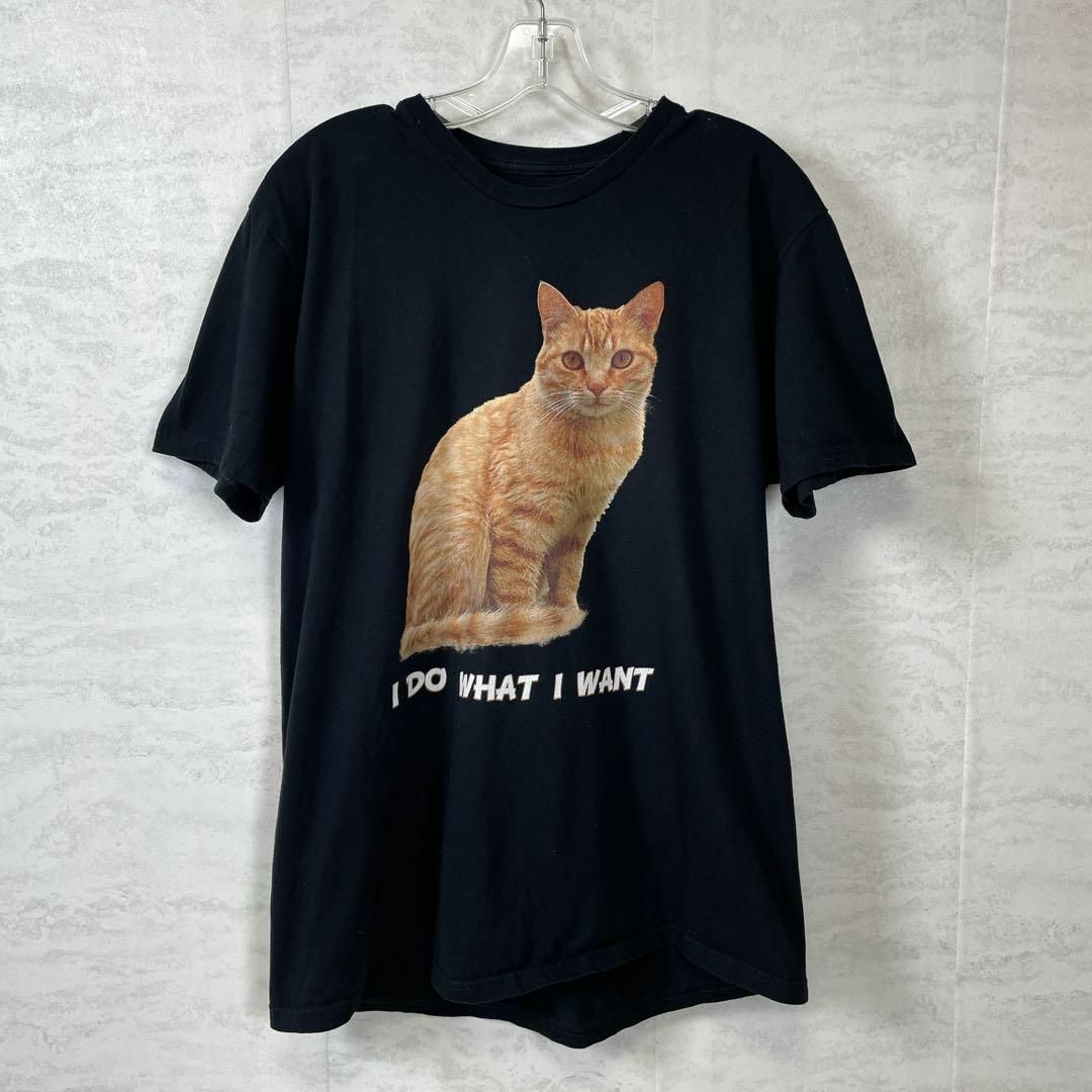 アニマルロゴ　茶トラ　猫キャットオ　ーバーサイズＬ　半袖Ｔシャツ　メンズ古着 メンズのトップス(Tシャツ/カットソー(半袖/袖なし))の商品写真