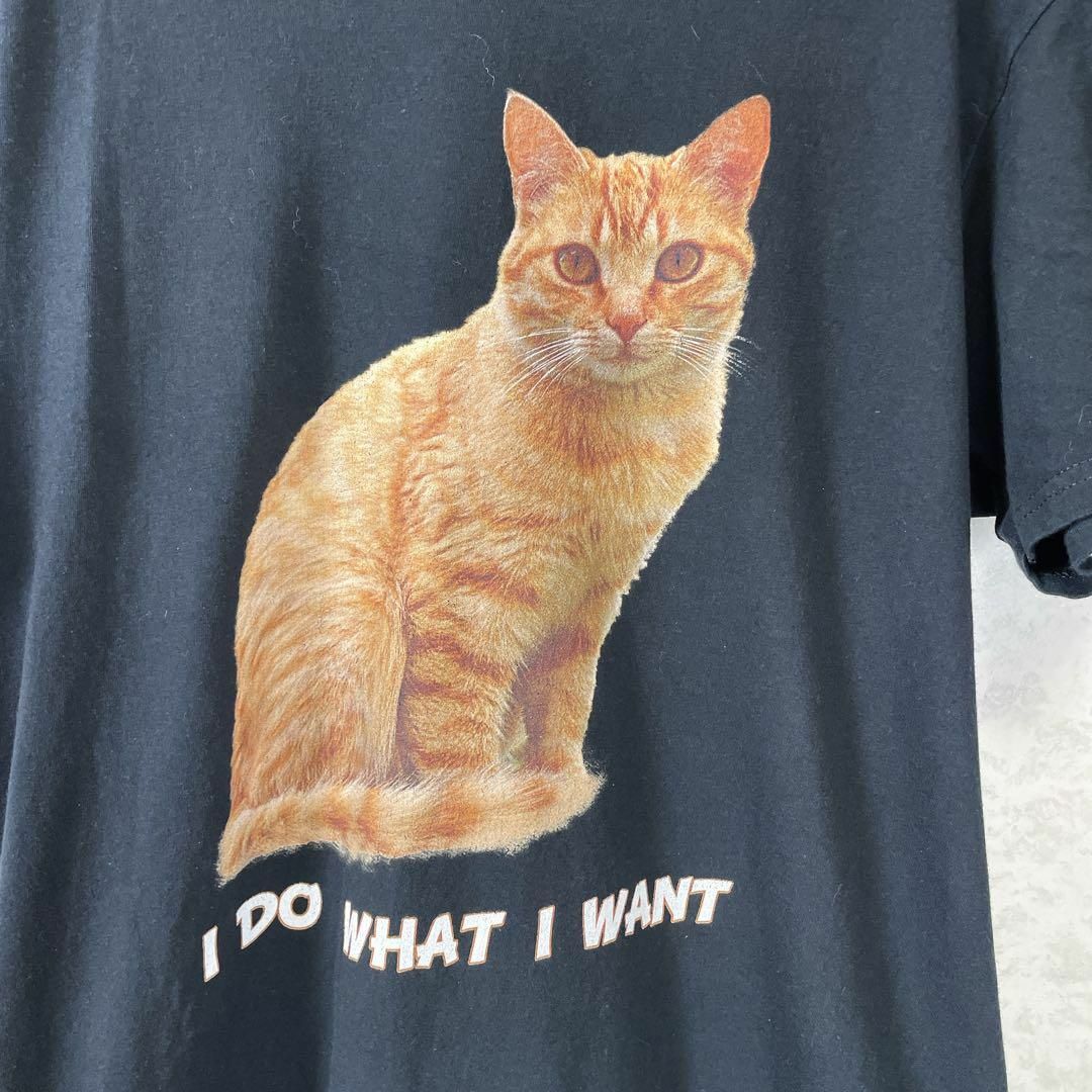 アニマルロゴ　茶トラ　猫キャットオ　ーバーサイズＬ　半袖Ｔシャツ　メンズ古着 メンズのトップス(Tシャツ/カットソー(半袖/袖なし))の商品写真