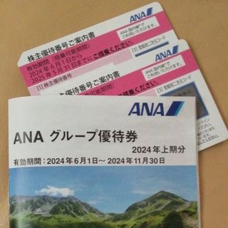 ANA株主優待券　2枚　とグループ優待券(その他)