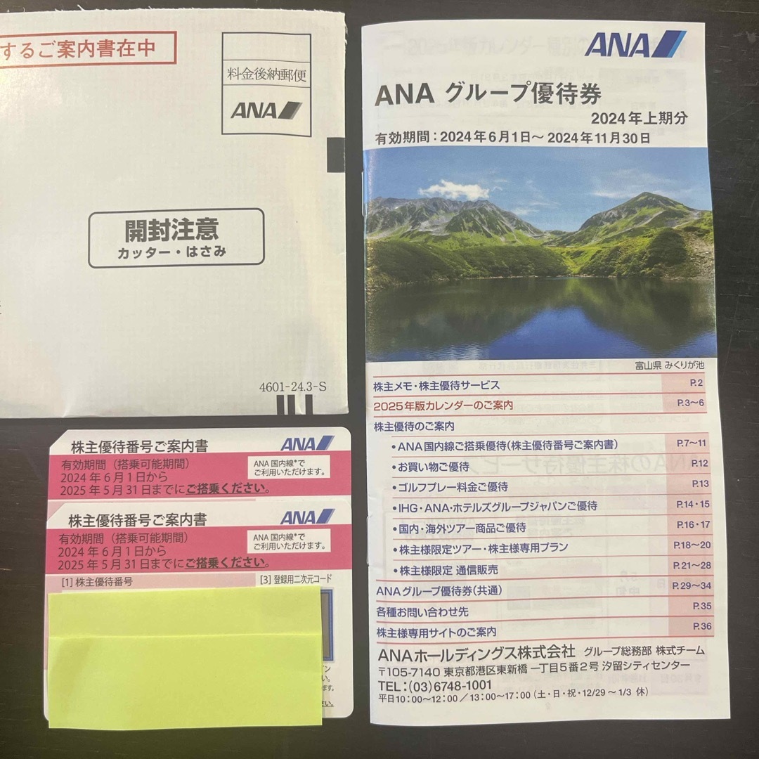 ANA(全日本空輸)(エーエヌエー(ゼンニッポンクウユ))の【株主優待券】✴︎ANA 最新版株主優待券　2枚 チケットの乗車券/交通券(航空券)の商品写真