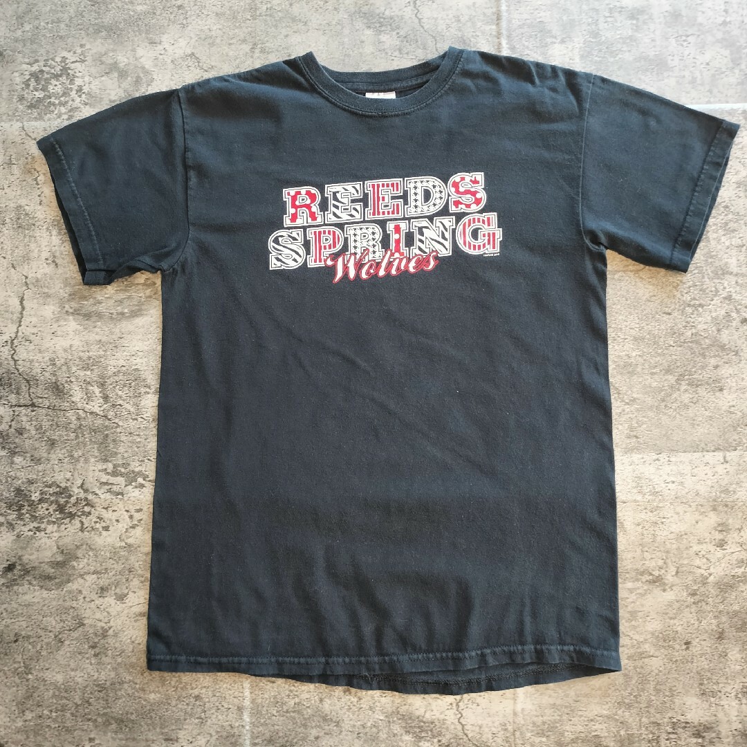 GILDAN(ギルタン)の【C403】ギルダン ミズーリ州 USA古着 半袖Tシャツ カットソー メンズのトップス(Tシャツ/カットソー(半袖/袖なし))の商品写真